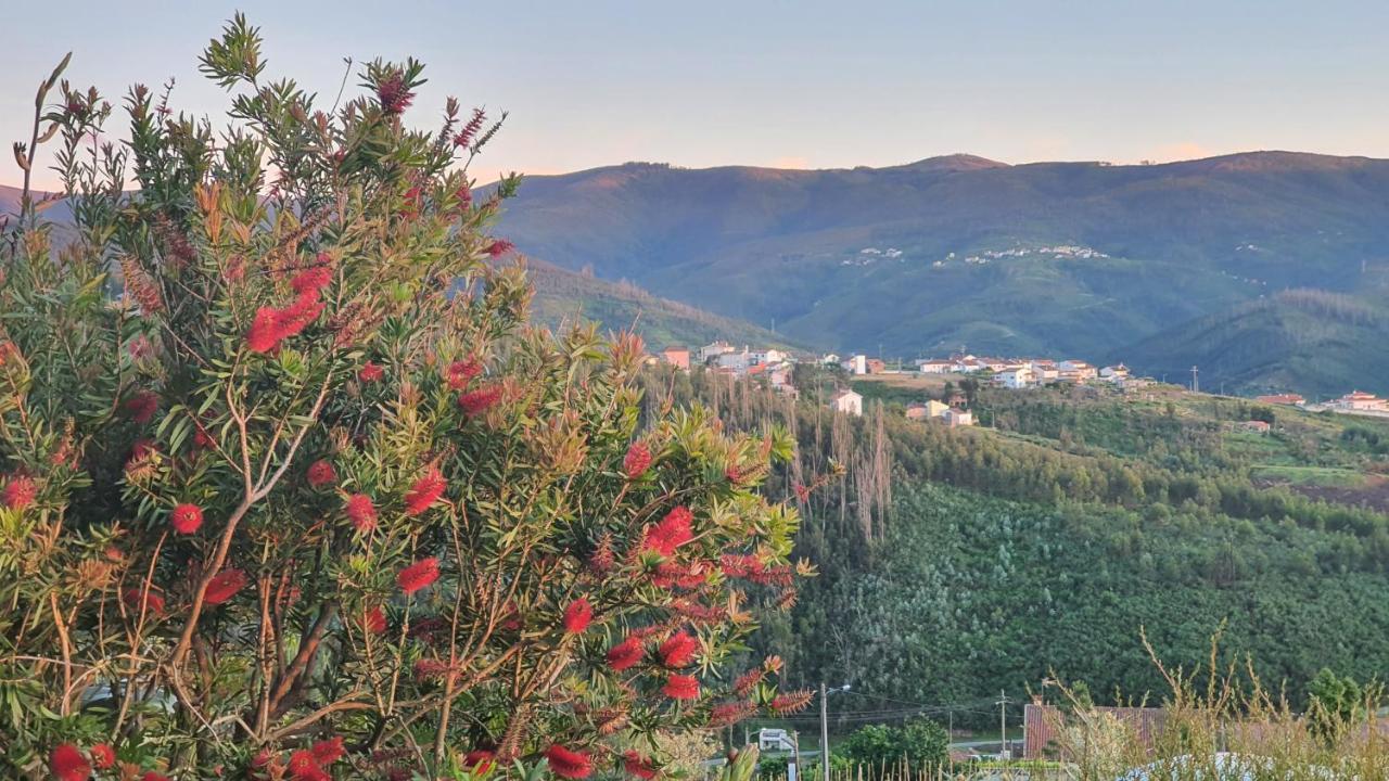 Coja Mountain Perch Villa Vinho  Dış mekan fotoğraf