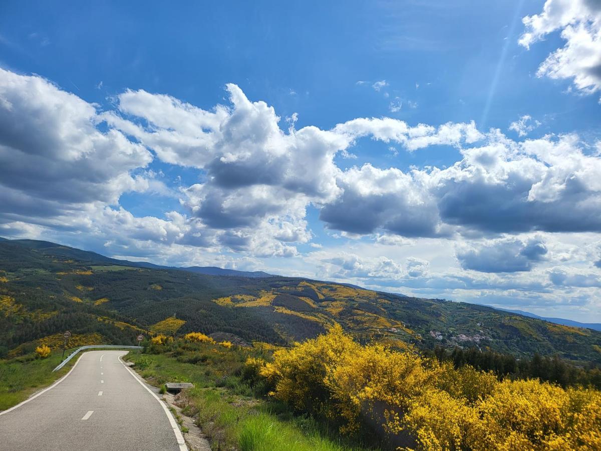 Coja Mountain Perch Villa Vinho  Dış mekan fotoğraf