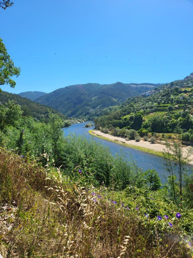 Coja Mountain Perch Villa Vinho  Dış mekan fotoğraf