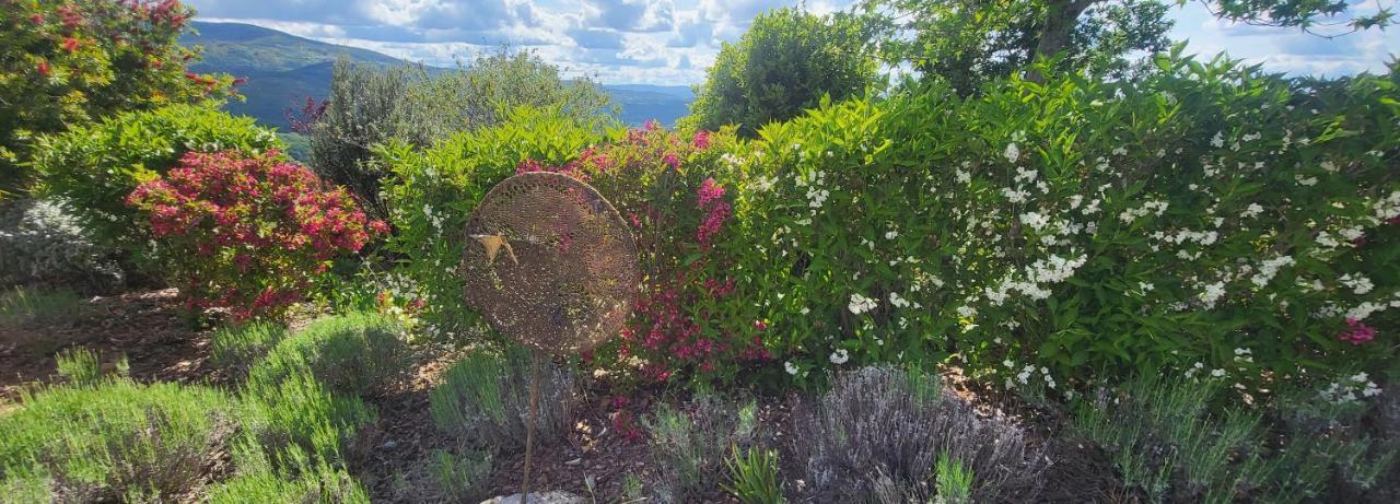 Coja Mountain Perch Villa Vinho  Dış mekan fotoğraf