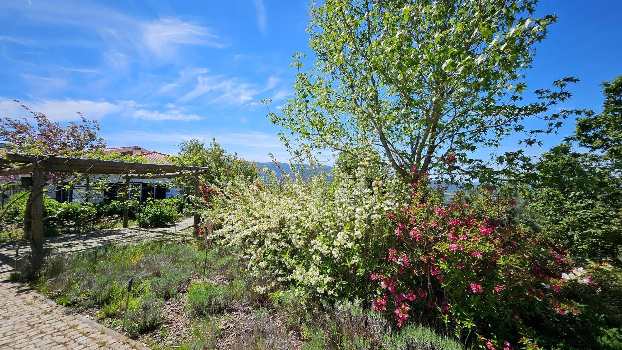 Coja Mountain Perch Villa Vinho  Dış mekan fotoğraf