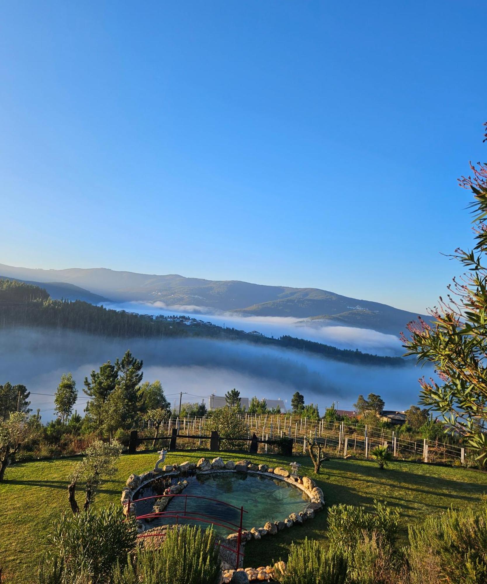 Coja Mountain Perch Villa Vinho  Dış mekan fotoğraf