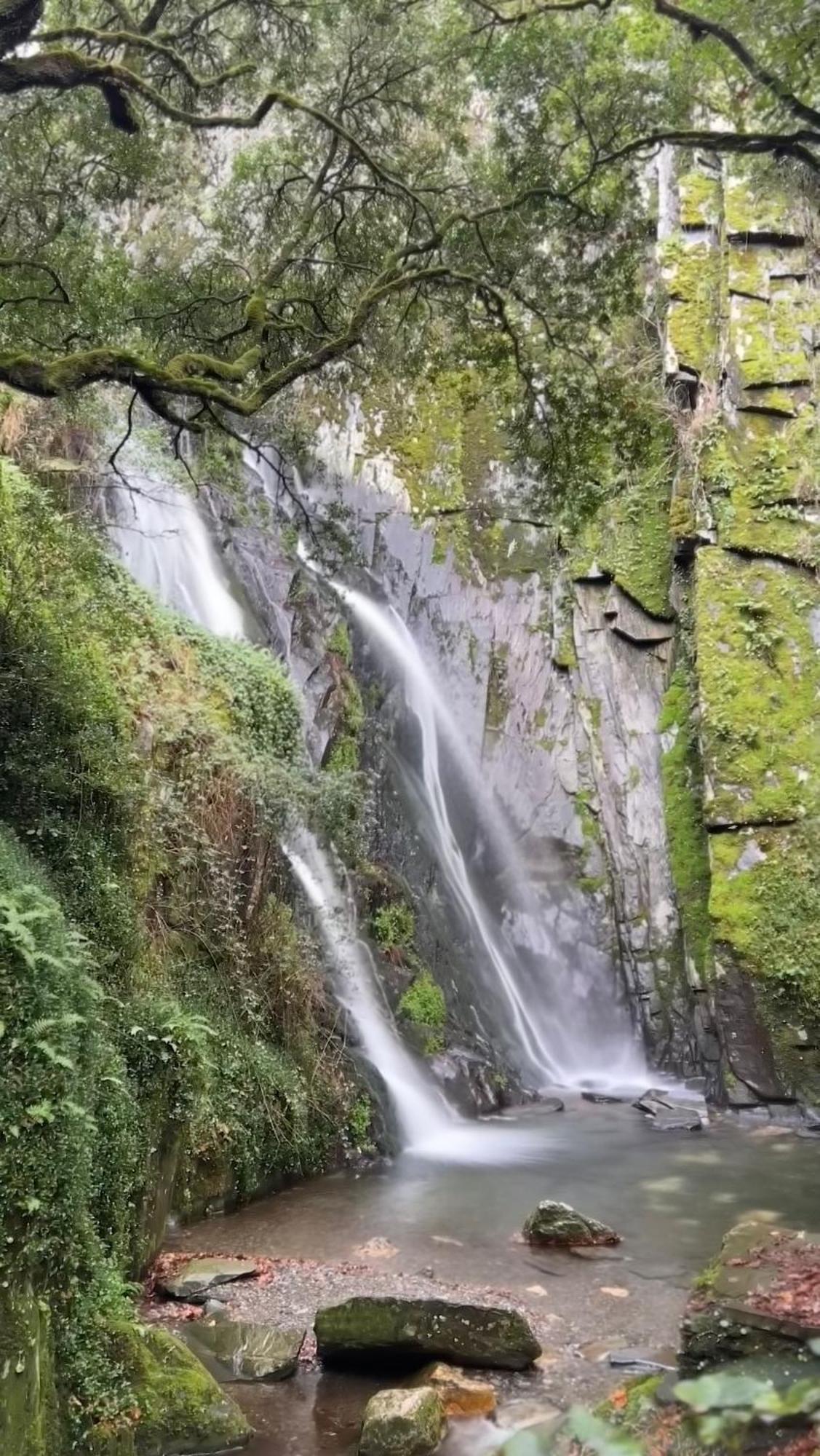 Coja Mountain Perch Villa Vinho  Dış mekan fotoğraf